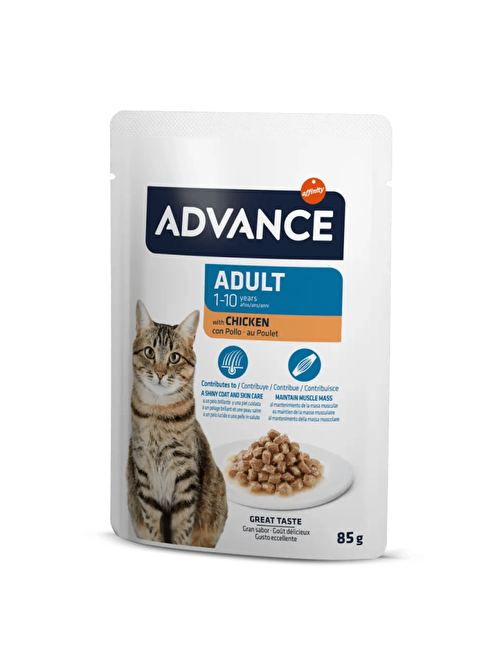 Advance Cat Adult Tavuklu Pouch Yetişkin Kedi Yaş Maması 85 Gr