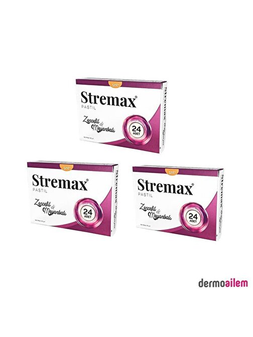 Stremax Pastil Zencefil & Meyanbalı 24 Adet 3 Adet