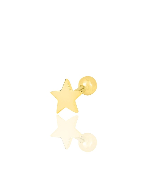 Gümüş altın yaldızlı yıldız modeli Tragus helix Piercing küpe SGTL12318GOLD