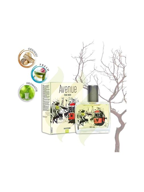 ERKEK PARFÜM AVENUE 50 ML EDP 8691841304746