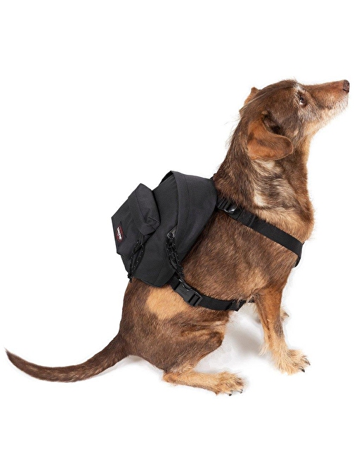 Eastpak Dog Pak'r Köpek Sırt Çantası Siyah