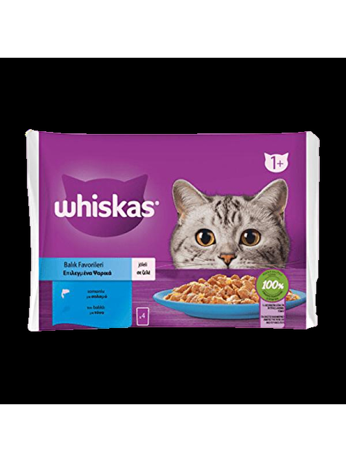 Whiskas Pouch Jöle İçinde Somonlu ve Ton Balıklı Yetişkin Kedi Konservesi 85gr (4'lü)