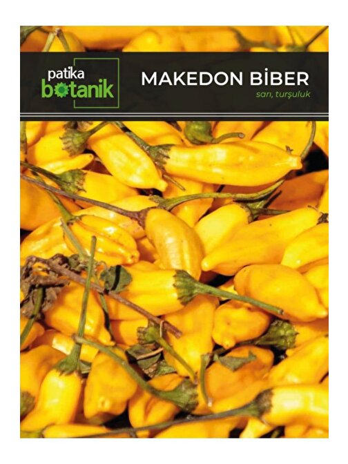 200 Adet Makedon Biber Tohumu (Sarı, Turşuluk)