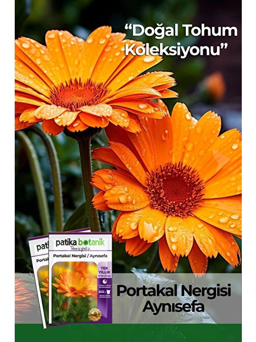 Portakal Nergisi - Aynı Sefa (calendula Officinalis) Çiçek Tohumu 30 Adet