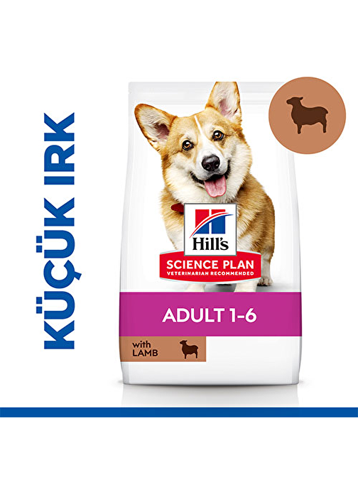 Hill’s SCIENCE PLAN Adult Small & Mini Lamb & Rice Küçük Irk Kuzulu Yetişkin Köpek Maması 6 Kg