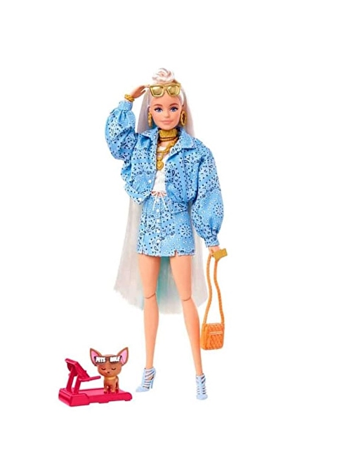 Barbie Ekstra Bebek ve Aksesuarları HHN08