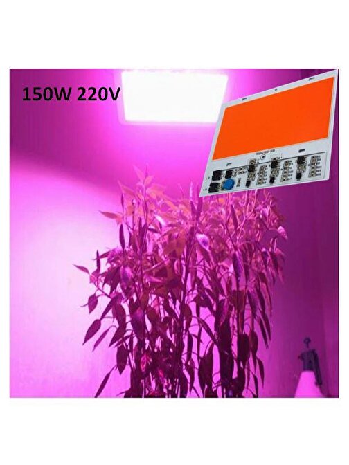 Tam Spektrum 380-840nm UV LED DOB Topraksız Tarım Bitki Büyütme 150W 220V