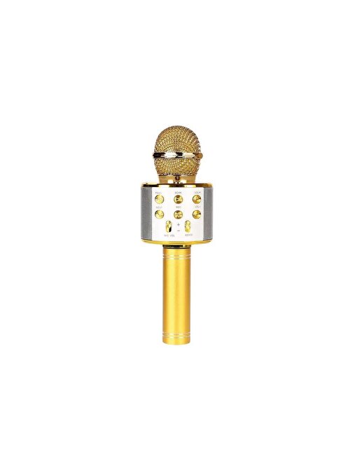Sunix Bluetooth Kareoke Mikrofon Gold MCF-10