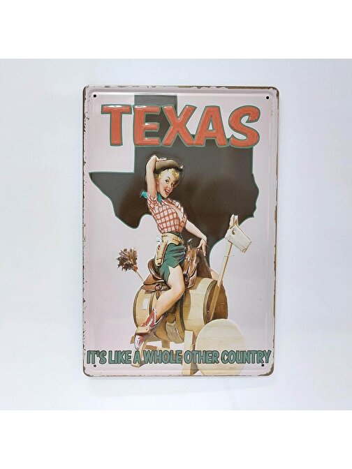 Texas Temalı Retro 20x30 Cm Metal Plaka Duvar Dekor