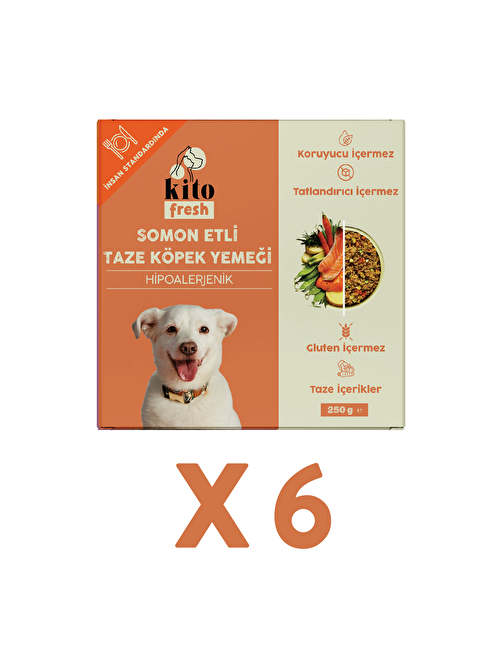 Fresh Somon Etli Taze Köpek Yemeği X 6 (1,5 KG)