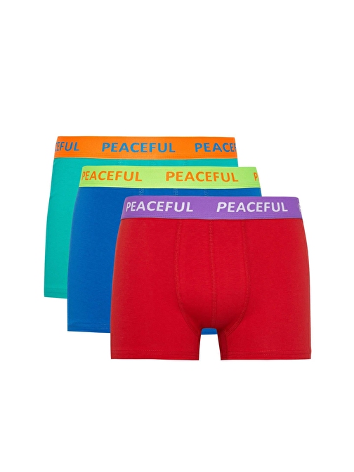 Regular Fit 3lü Boxer B7774AX24SM