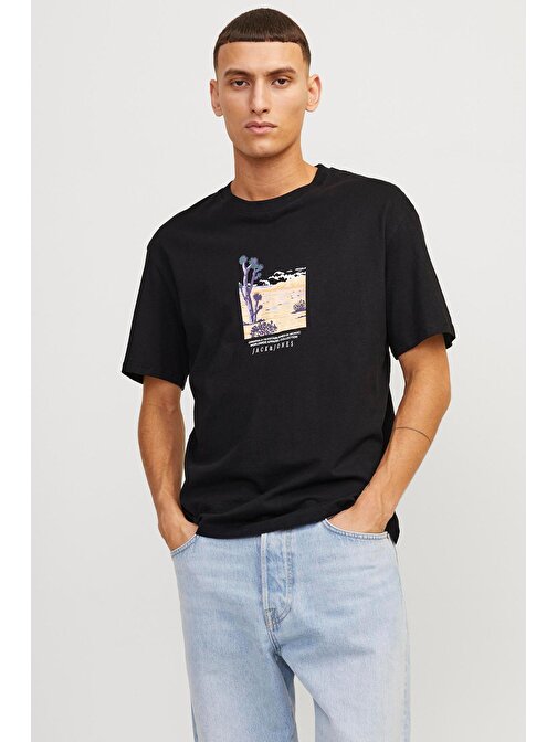 Jack & Jones Erkek T Shirt 12253613