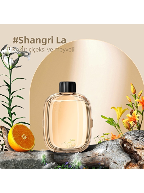 Mioji Mio Smell 2x Aromaterapi Yedek Oda Kokusu - Shangri-la Kokusu (1 adet)