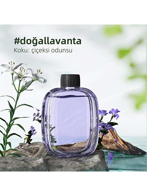 Mioji Mio Smell 2x Aromaterapi Yedek Oda Kokusu - Lavender Kokusu (1 adet)