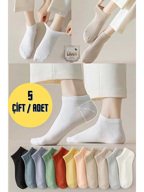 Kadın Renkli 5 Çift Likralı Pamuklu Penye Patik Çorap
