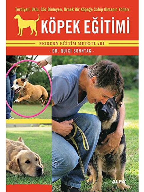 Köpek Eğitimi