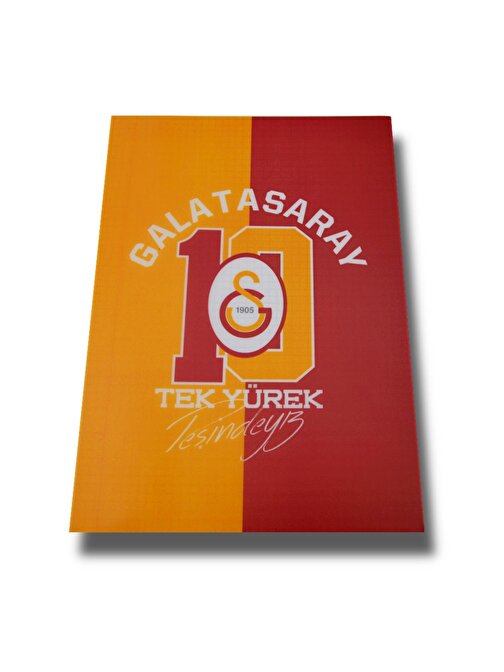 Galatasaray A4 60 Yaprak Plastik Kapak Dikişli Defter Kareli (463620)