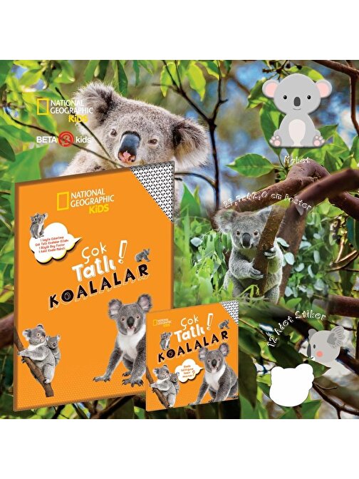 Çok Tatlı Koalalar paket