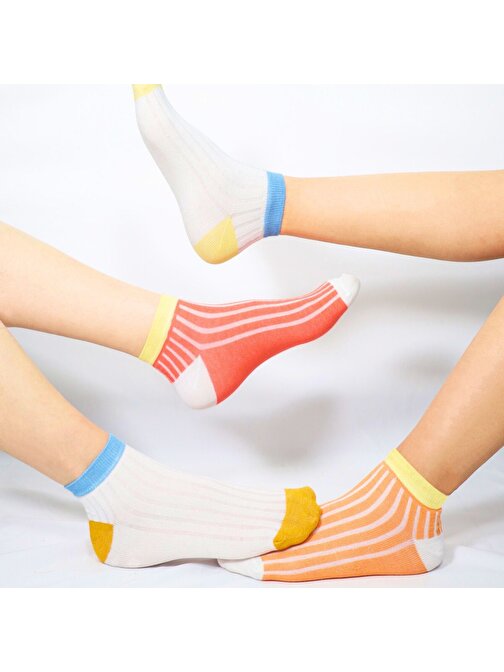 5 Çift Pamuklu Basic Derbili Kadın Çorap
