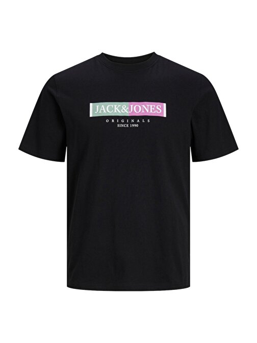 Jack & Jones Erkek T Shirt 12252681