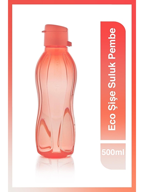 Eco+Şişe 500 Ml Suluk