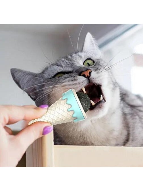 Dondurma Şeklinde Kedi Otu Nanesi