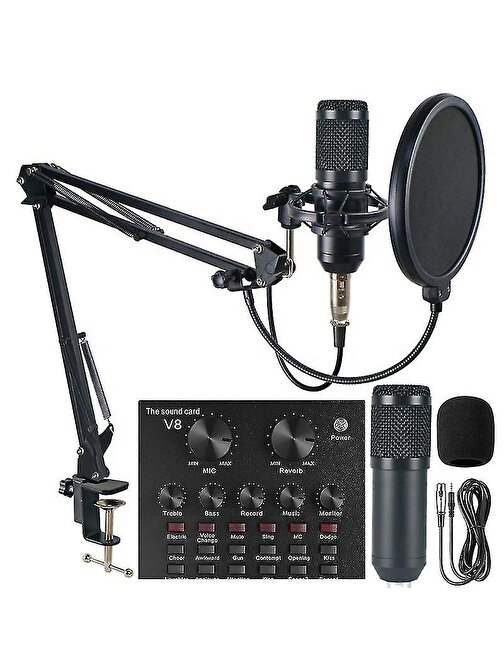 Pazariz Profesyonel Kayıt Stüdyosu Ses Kayıt Harici Canlı Amfili Mikrofon Ses Kartı Mikrofon