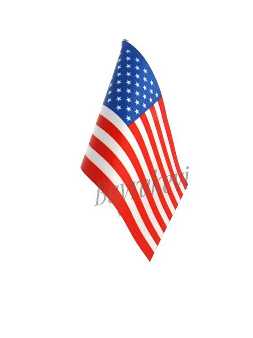 ABD (USA) Masa Bayrağı