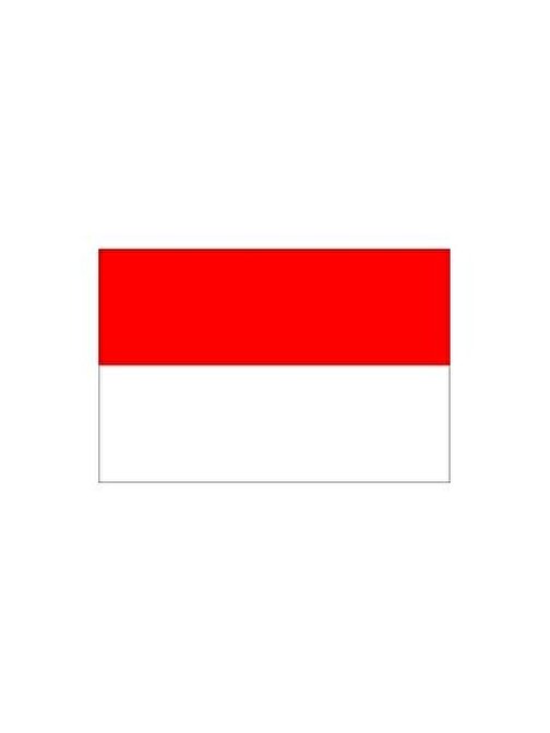 Endonezya Bayrağı (30x45 cm)
