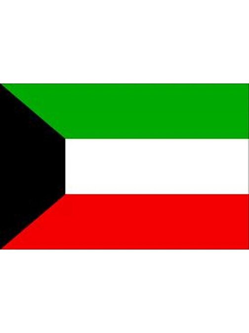 Kuveyt Bayrağı (30x45 cm)