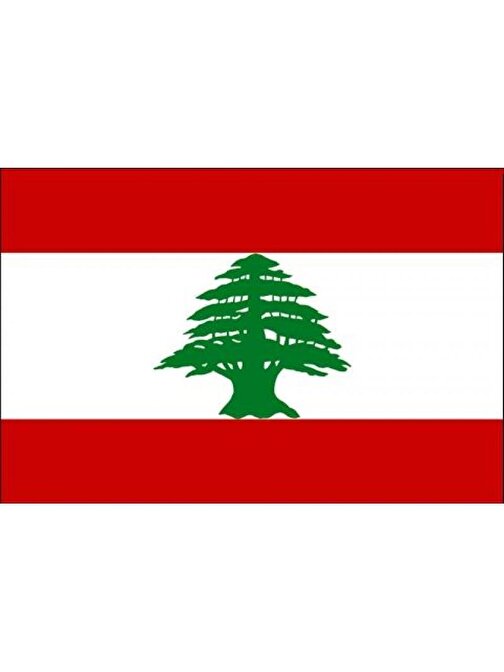 Lübnan Bayrağı (30x45 cm)