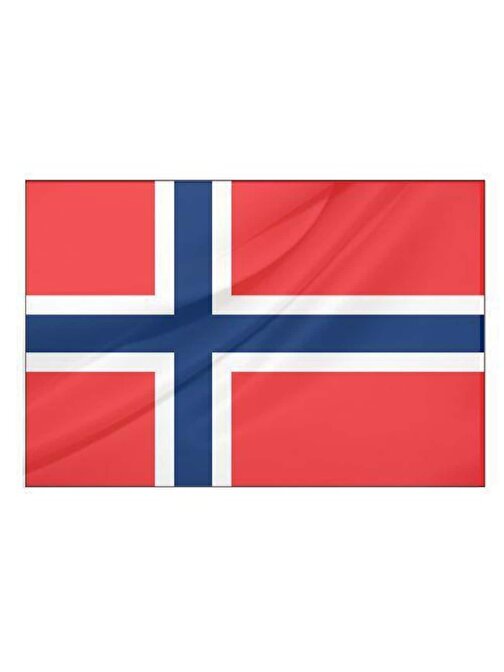 Norveç Bayrağı (30x45 cm)