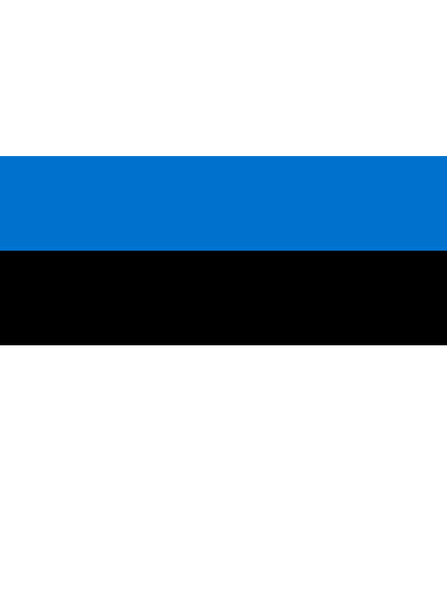 Estonya Bayrağı (50x75 cm)