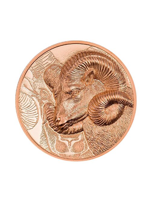 Magnificent Argali 2022  50 Gram Bakır Sikke Coin (999)