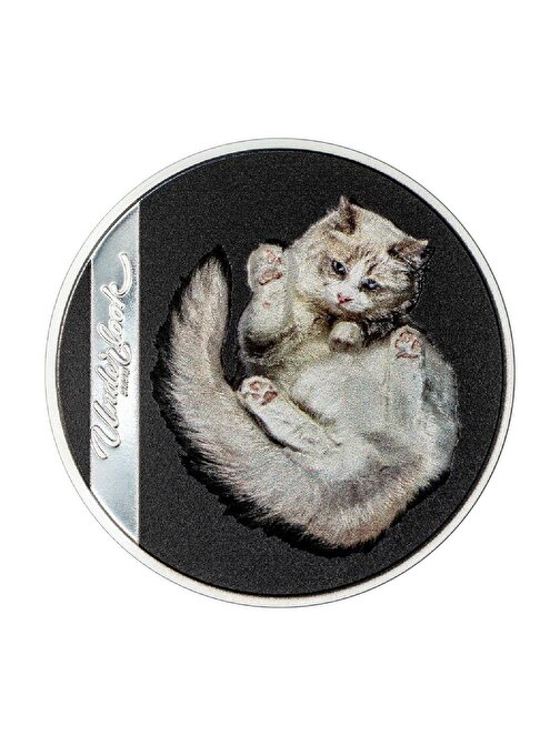 Underlook  Under Cat 2024 1 Ons 31.10 Gram Gümüş Sikke Coin (999.9)