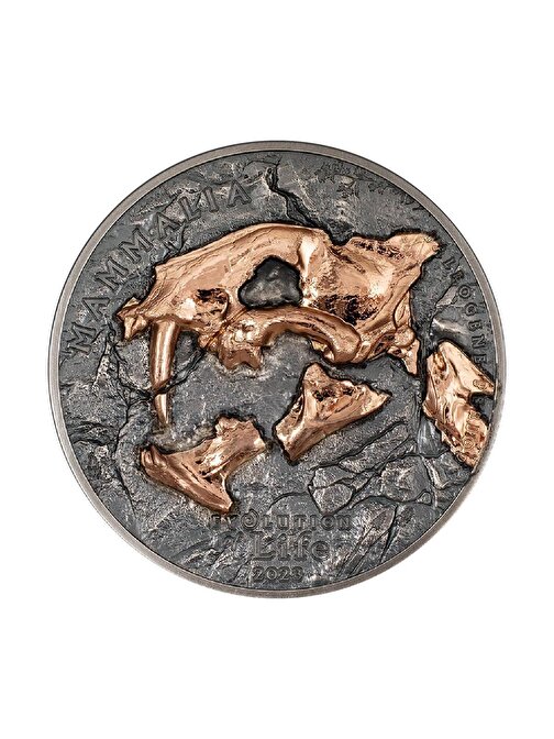 Evolution Of Life Nimravidae 2023 1 Ons 31.10 Gram Gümüş Sikke Coin (999.9)