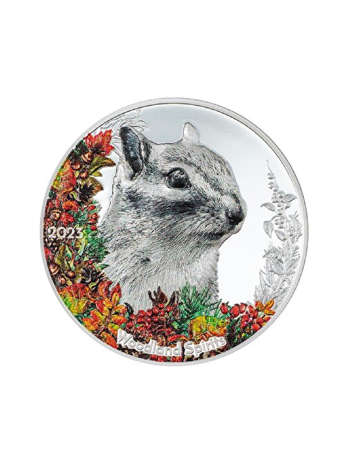 Woodland Spirits Chipmunk 2023 1 Ons 31.10 Gram Gümüş Sikke Coin (999)