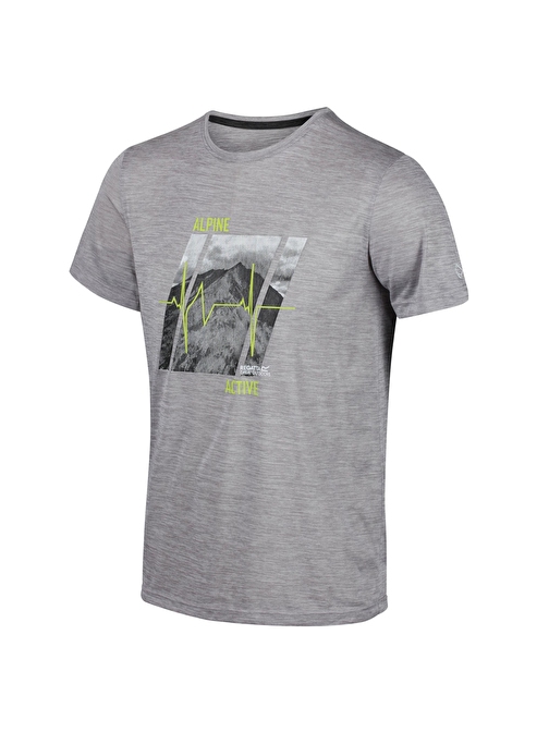 Regatta Fingal V Erkek T-Shirt-GRİ