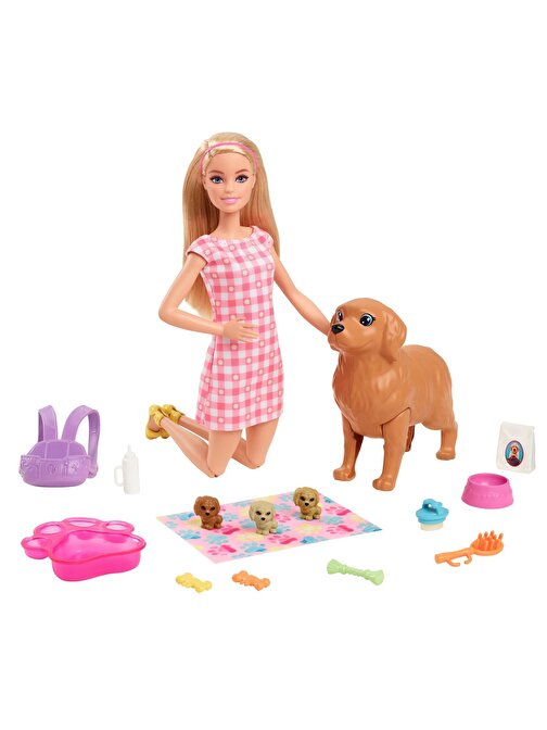 Barbie Yeni Doğan Köpekler Oyun Seti HCK75 