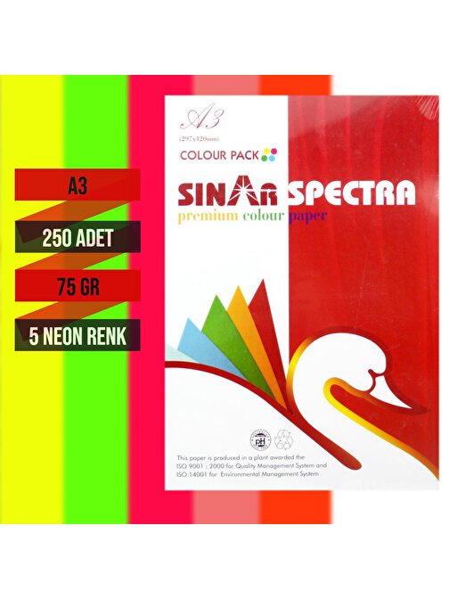 Sınar Spectra A3 Fotokopi Kağıdı 5 Fosforlu Renk 250 Li 75 gr 