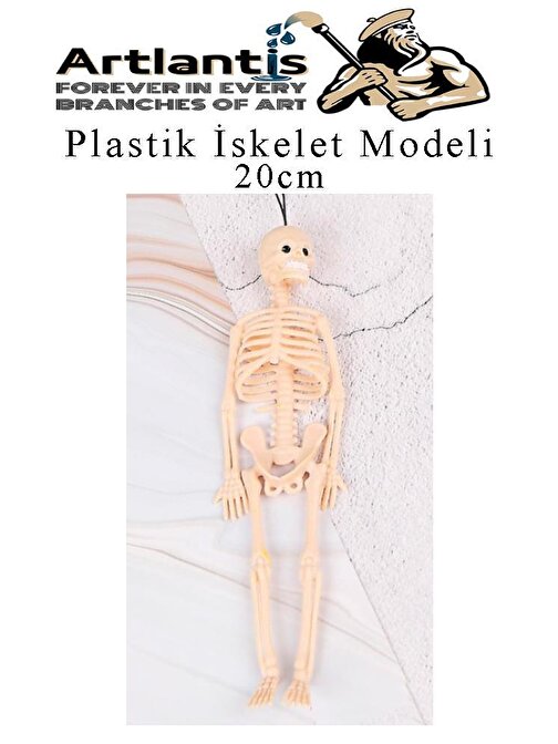 Plastik İskelet Modeli 20 cm 1 Adet Plastik İnsan İsket Modeli Silikon İskelet Deneyi Araba Süsü