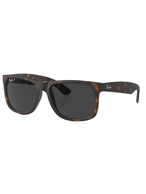 Ray-Ban RB4165 865/87 55 Polarize Unisex Güneş Gözlüğü