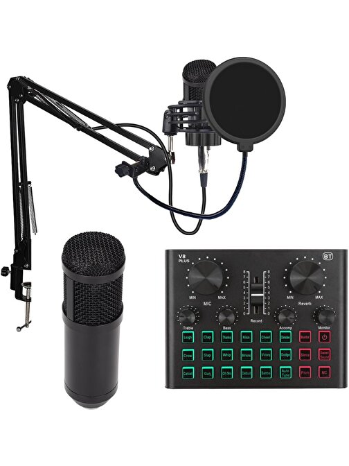 Coverzone Profesyonel Mikrofon Paketi Stüdyo Kaydı Ve Brocasting İçin Youtuber Mikrofon Seti Özelleştirilebilir El Tipi Çok İşlevli Kayıt Stüdyosu Mikrofonu Bm600