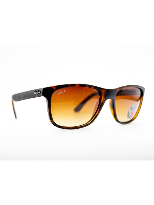 RayBan RB4181 710/13 Polarize Unisex Güneş Gözlüğü