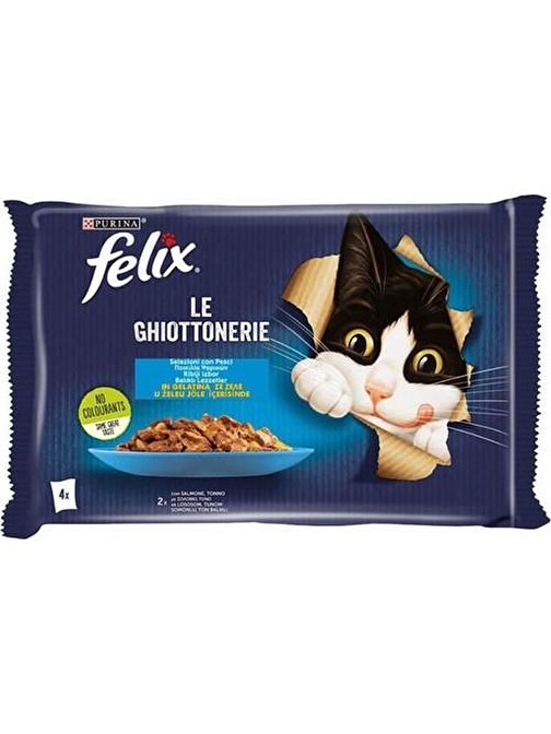 Felix Multipack Somonlu ve Ton Balıklı Yetişkin Kedi Yaş Maması 4x85 Gr 40 Adet