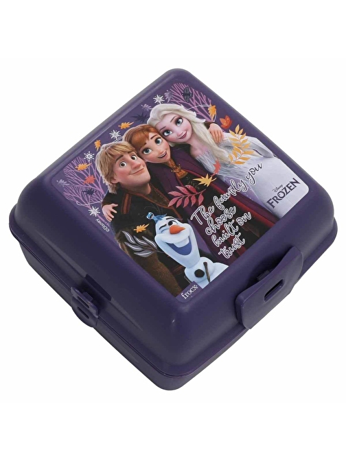 Frozen 4 Bölmeli Plastik Beslenme Kutusu Mor (OTTO-42550)