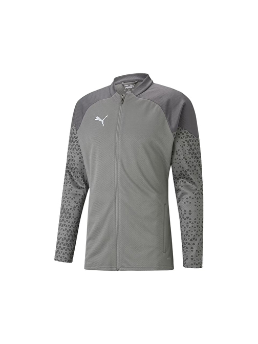 Puma Teamcup Training Jacket Erkek Futbol Antrenman Ceketi 65798313 Gri