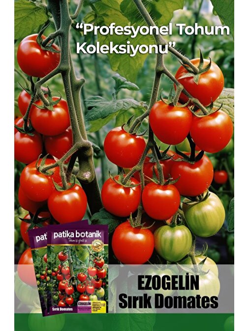 10 Adet Ezogelin Kiraz / Cherry Domates Tohumu-SIRIK