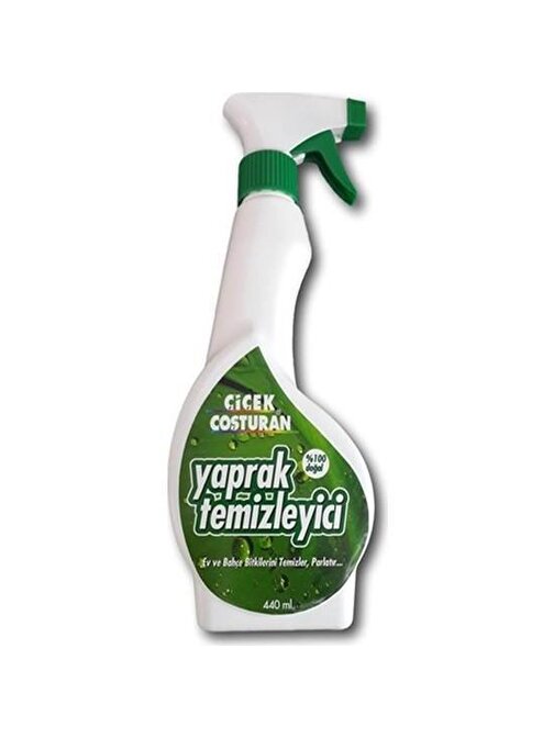 Avmdepo  Çiçek Costuran Yaprak Temizleyici Sprey 440 ml