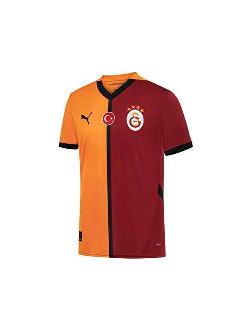 Puma Galatasaray Sk 2024/2025 Erkek Futbol İç Saha Forması Galatasaray Sk 2024/2025 Erkek Futbol İç Saha Forması 77965001 Renkli